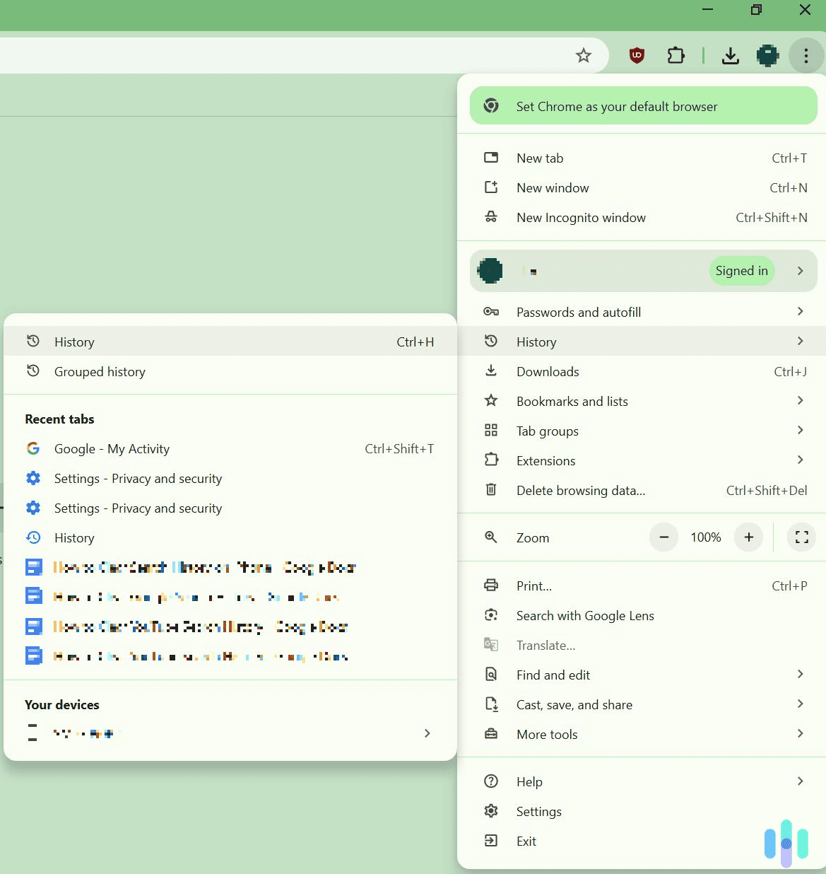 Access the history page via Chrome’s main menu. Access the history page via Chrome's main menu.